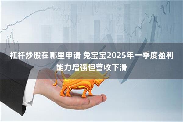 杠桿炒股在哪里申請 兔寶寶2025年一季度盈利能力增強(qiáng)但營收下滑